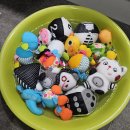 흑백세탁 이미지