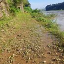 동이리주상절리길(임진적벽길)이 현재 통행불가함을 알려드립니다~ 이미지