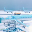 제주공항 이미지