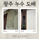 (주)순수자연건강 | [공지] 광주 누수 도배, 수완 자이 석고보드 교체까지 해야 완벽한 이유는?