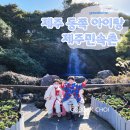 민속촌주차장 | 제주 동쪽 가볼만한곳 제주민속촌 박물관 방문후기 주차장 입장료 코스