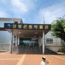 양평곤충박물관 | 아이랑 가기 좋은 양평곤충박물관 방문 후기