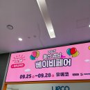 울산역로 | 2025 9월 울산경남베이비페어 유에코 방문후기