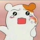 잘가요사랑니치과의원 이미지