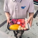 금강산카써비스 | 다낭에서 호이안 가는법 그랩 렌트카 꿀팁 후기