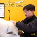 A+(알파 플러스) 펫라운지 K스피릿
