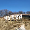 [ 서울 여행 ] 가을이 산책 코스! [ 초안산 하늘꽃정원 ]