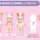 슈가엔젤