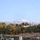 서귀포농업협동조합서부지점 이미지