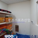 신남초등학교 이미지