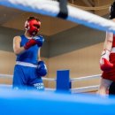 복싱1997 이미지