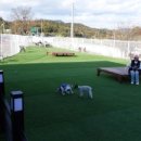 저스트도그 단구점 이미지