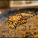 문어물갈비 이미지