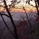 미산1리 이미지