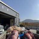 삼성리사이클링 이미지