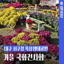 서구청 옥상생태공원 | 대구 서구청 옥상생태공원에서 열리는 가을 국화전시회