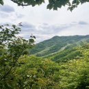 자연숲 | 광주 곤지암 화담숲 후기, 벚꽃·단풍 시즌 아니어도, 모노레일 없이도 좋았던 서울근교 힐링코스