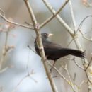 안정순환로172번길 이미지