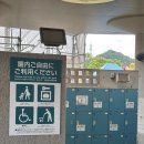 꽃의계절 | 요나고 여행 돗토리 꽃의 회랑 하나카이로 후기