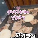 엉터리무한대패신월5동점