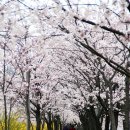 충훈2교 옆 이미지