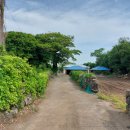 온평리-5 이미지