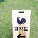팔각도대전 이미지