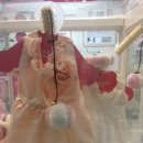 미니 앤 바니 애견샵 이미지