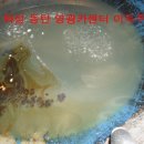 수동약국 이미지