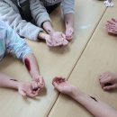 전주은화학교 이미지