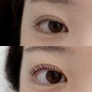 뷰티러블 | 울산중구속눈썹펌맛집 러블뷰티 솔직후기