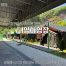 OK마트 | 아이랑 캠핑 완전 만족! 대구근교 대양야영장 봄 가족캠핑