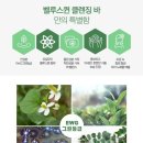 벨루스퀸 네이버블로그