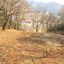 상천리-1 이미지