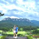 소노펠리체 델피노 | 소노펠리체 델피노 CC 후기