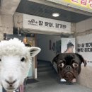 아이언 파라다이스짐 권선점 이미지