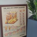 세이메디칼 이미지