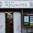 킴스베리 이미지