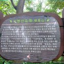 서봉산 산림욕장 2 이미지