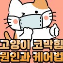 275. 고양이 코막힘 원인과 케어법! 이미지