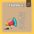 트윙클컴퍼니 네이버블로그