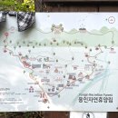 정광 | 용인 정광산 등산, 용인자연휴양림 뒷산 정광산 등산코스