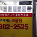 25시공인중개사사무소 이미지