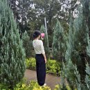 송산유원지 | 광주 송산유원지 대형카페 온어브레이크 ON A BREAK 뷰 분위기 맛집 내돈내산