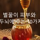 벌꿀이 皮膚(피부)와 頭腦(두뇌)에 주는 10가지 이미지