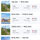 요대로 | [중국] 에어차이나 베이징 환승 후기CA126 특별기내식 (해산물식, 저칼로리식)