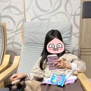 샤넬 우리집 NO.5 이미지