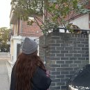 송쌤의 찐후기 젤리펌 굵은히피펌 강남미용실 추천 희올헤어 본점 김송이 디자이너