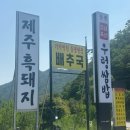 [강원/원주] 소금산 주변 월송리 맛집 “들꽃가든” 오겹살 먹은 후기