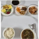 거성케어 대전지사 | 집으로 찾아와 돌봐줘 편했던 대전산후도우미 위드맘케어 대전지사 이용 후기